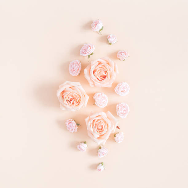 istock Rose flowers on pastel yellow background. Flat lay, top view 956809052