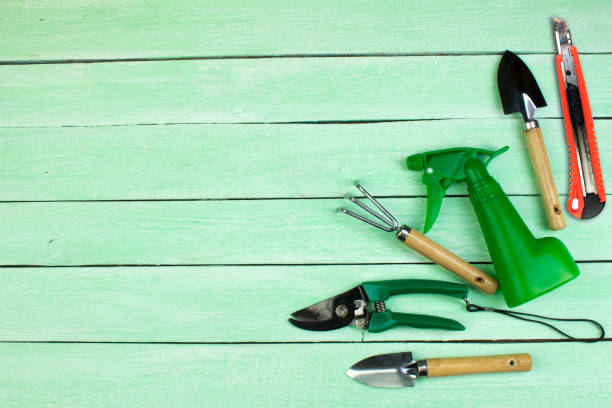 istock Composition with flowers and gardening tools on the wooden background with space for text 956812610