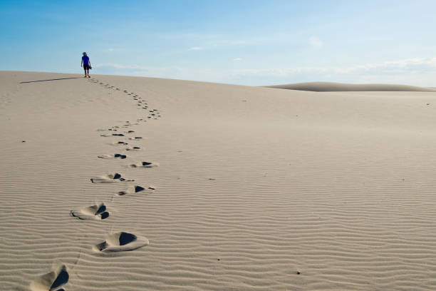 미 올 레이크 호주에서 모래 언덕에 풋프린트. - men footprint beach sunset 뉴스 사진 이미지