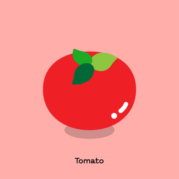 ilustraciones, imágenes clip art, dibujos animados e iconos de stock de tomate - rose pink bright simply