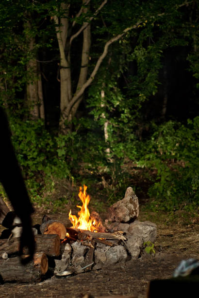 istock fire on the nature in the hike 956820456