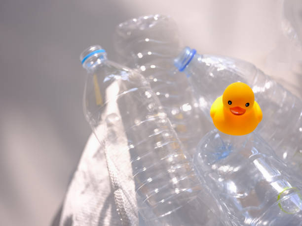 istock Yellow rubber duck trapped in a sack full of empty plastic drinking water bottles stored for recycling. 956825404
