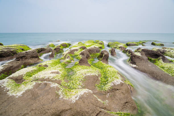 kamienny rów wybrzeża laomei, północny tajwan - extreme terrain eroded snow landscape zdjęcia i obrazy z banku zdjęć