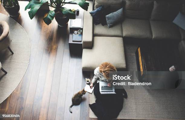 Work At Home Stock Photo - Download Image Now - Domestic Life, Working At Home, High Angle View