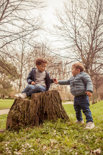 istock Brothers playing outdoors 956830738