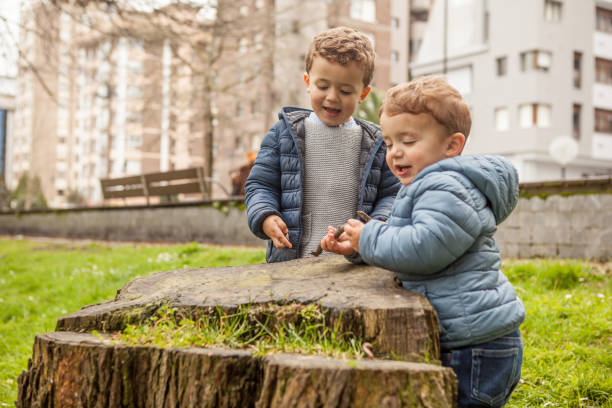 istock Brothers playing outdoors 956831206