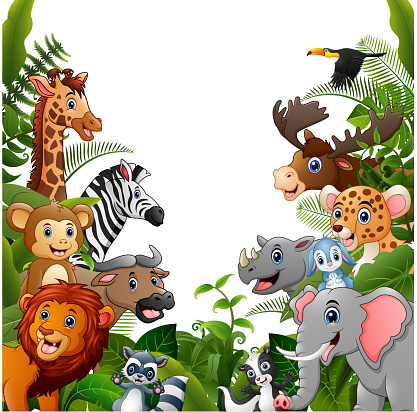 Vector illustration of animals forest meet together in frame