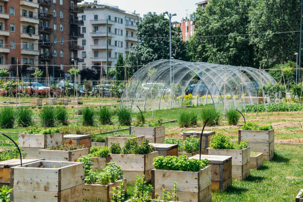 Urban farming sustainability concept, captured in Milan, Lombardy, Italy. stock photo