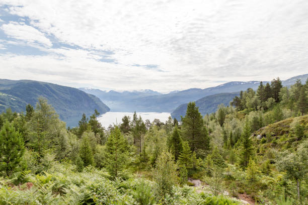 istock Nordfjord, Norway. 956842084