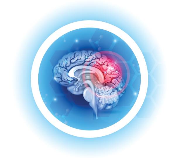 Human brain problems symbol Human brain problems symbol on a beautiful light blue radial background concussion stock illustrations