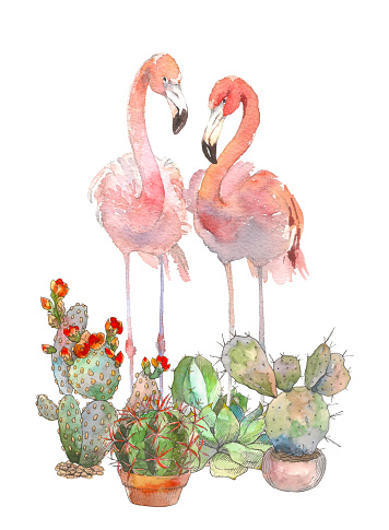 Beautiful pink tropical loving birds flamingo.Amazing painting for invitation, print, logo, poster card