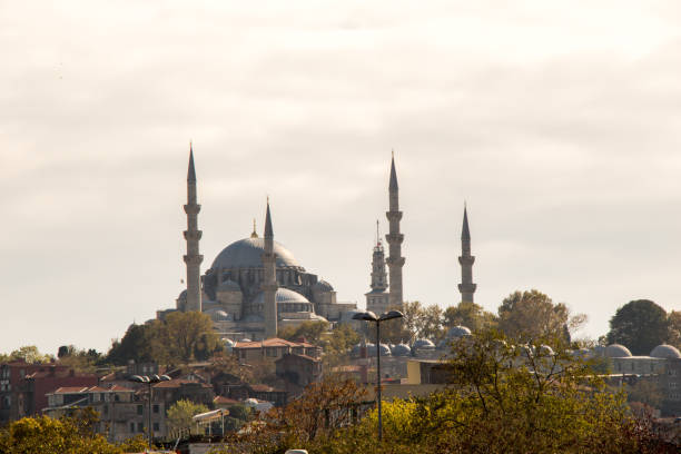 istock Ottoman style mosque in Istanbul 956850494
