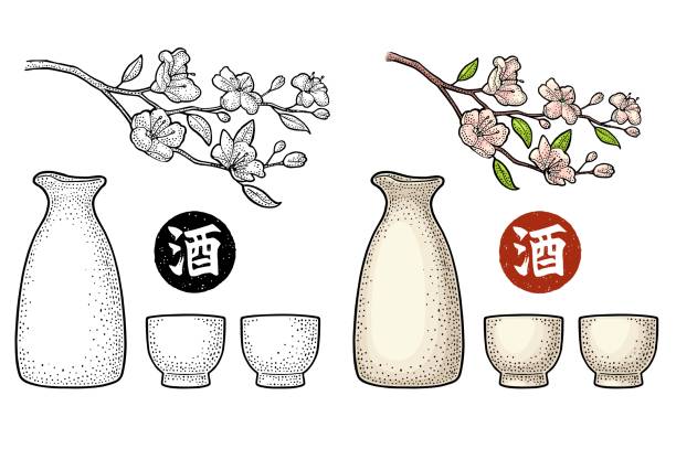 sakura blüte. kirsche zweig mit blüten und knospe. blütenblätter fallen. - sakura stock-grafiken, -clipart, -cartoons und -symbole