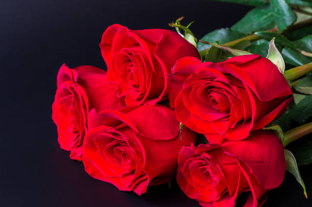 istock Red roses flower on black background. 956854372