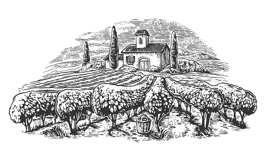 Rural landscape with villa, vineyard fields and hills. Black and white drawn vintage vector illustration for label, poster.
