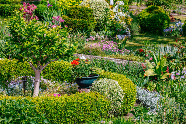 istock Beautiful Home garden Allotment in spring 956859774