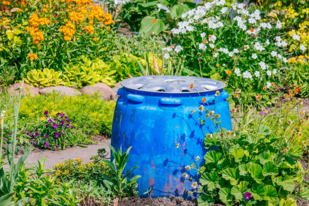istock Beautiful Home garden Allotment in spring 956859886