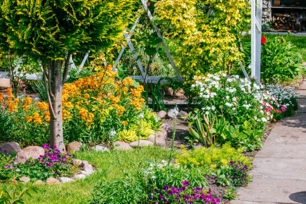 istock Beautiful Home garden Allotment in spring 956860136