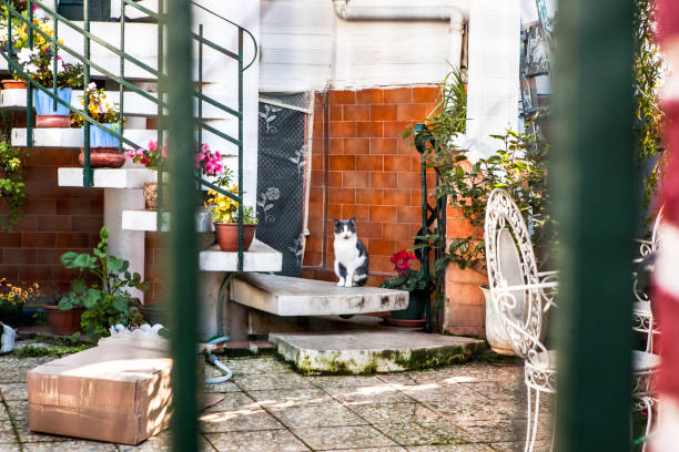 Istanbul, Turkey - January 1, 2018: A detached house in Mediterranean architecture. The abandoned house courtyard in Buyukada. Buyukada is only one of the tourism regions of Istanbul.