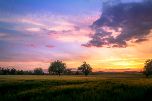 Beautiful colorful sky and landscape