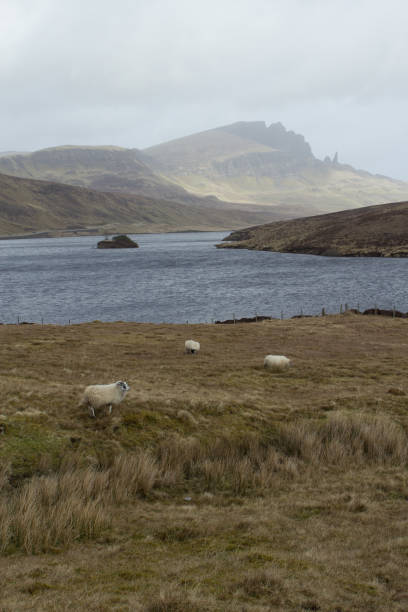 istock Scotland Highland Landscape 956866734