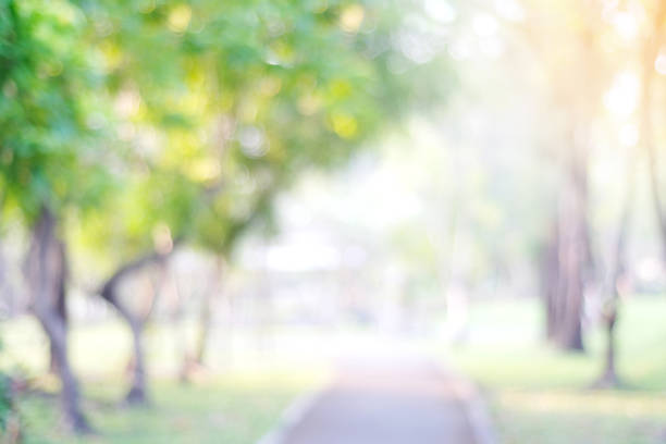 istock Blurred spring and summer nature outdoor background, Blur green park background 956869794