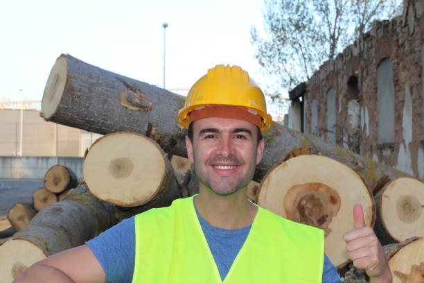 istock Male cutting trees in the forest 956870340