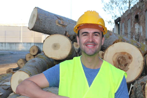 istock Male cutting trees in the forest 956870358