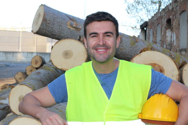 istock Male cutting trees in the forest 956874110