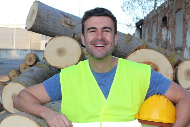 istock Man smiling after cutting lots of trees 956874126