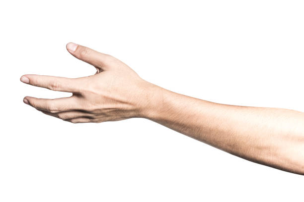 istock Hand open and ready to help or receive. Gesture isolated on white background with clipping path. 956875002