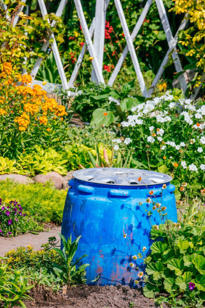 istock Beautiful Home garden Allotment in spring 956879434