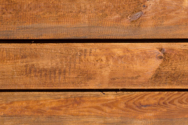 istock texture of bark wood use as natural background 956885024