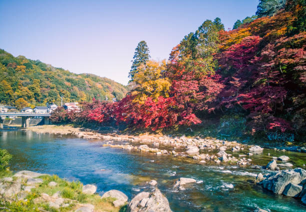 istock Autumn leaves under clear sky in Japan 956886024