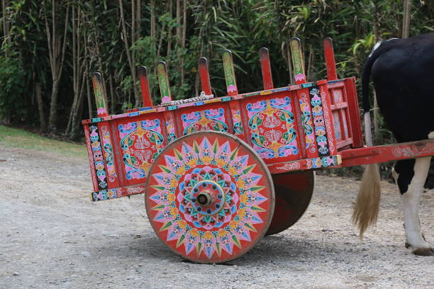 istock Costa Rica Ox Cart 956887736