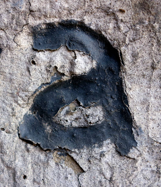 istock Written Wording in Distressed State Typography Found Letter A 956890948