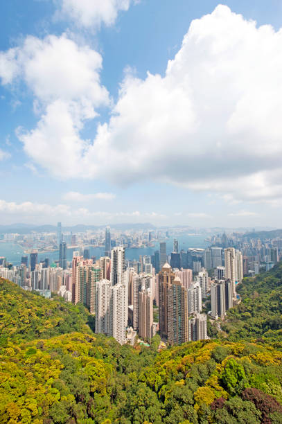 istock Peak portrait, Hong Kong, China 956894370