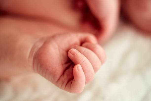 istock Close-up of a newborn baby's hand 956895838