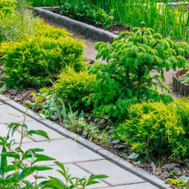 istock Beautiful Home garden Allotment in spring 956896006