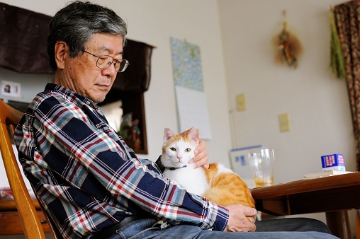 An older man sitting at home with his cat.