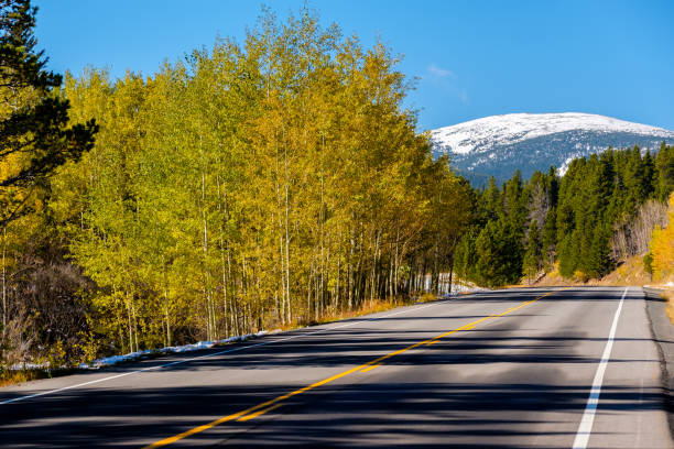istock Highway at autumn in Colorado, USA. 956897080
