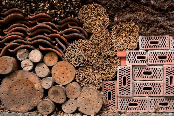 istock close up big bee house, hotel to protect insects 956900816
