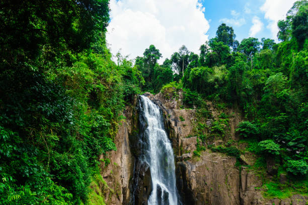 istock Another beautiful nature is Heaw Narok waterfall. 956913314