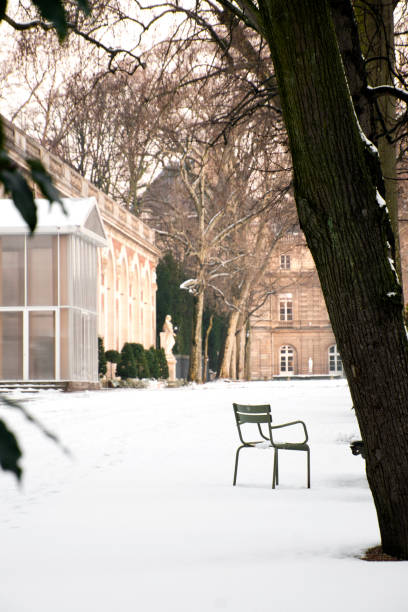 istock Paris under snow, parc du Luxembourg 956916742