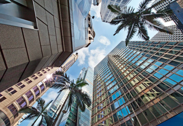 istock Palm glass sky view, Hong Kong, China 956917568