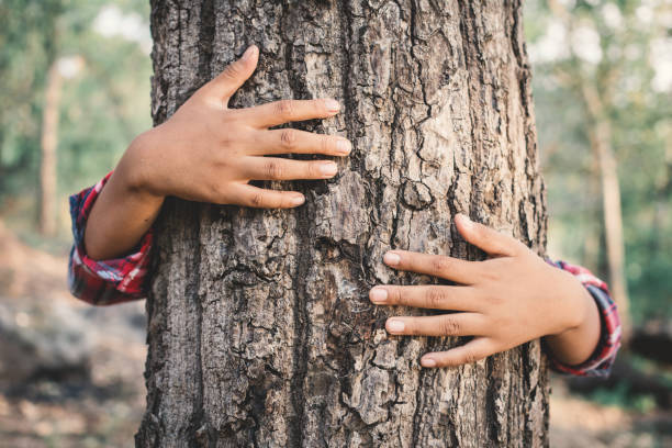 istock Close-Up Of Hands Embracing Tree 956926374