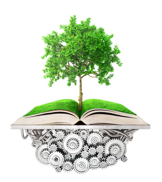 istock Education concept. Tree of knowledge grows from the book lying on the mechanism. 3d illustration 956926730