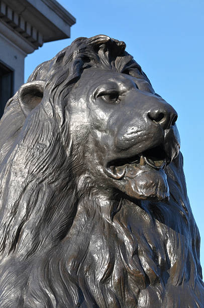istock Bronze Lion, Trafalgar Square, London, UK 95692700