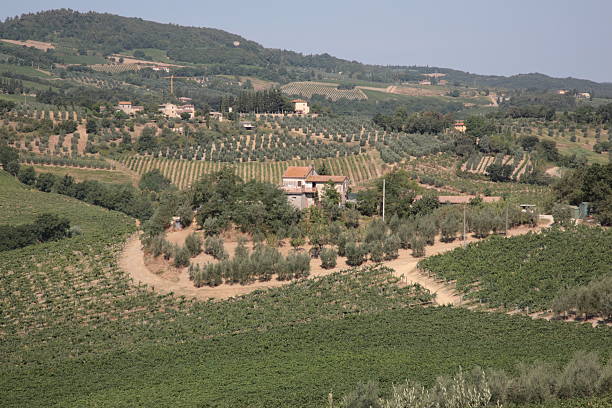 istock Tuscan countryside around San Gimignano 95692780