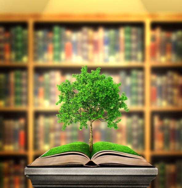 istock Education concept. Tree of knowledge grows from the book lying on the pedestal on a library background. 3d illustration 956931632